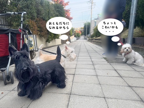 シェリーとファラとニコちゃん