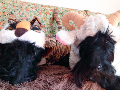 寅さんと羊さんの衣装を着たロロちゃんとニコちゃん