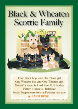 Scottie Family